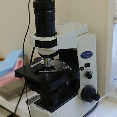 位相差顕微鏡|渡辺歯科